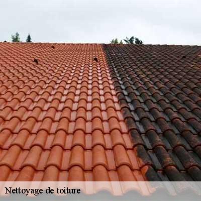 Nettoyage de toiture