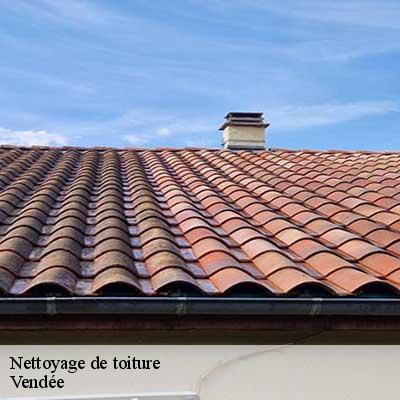 Nettoyage de toiture
