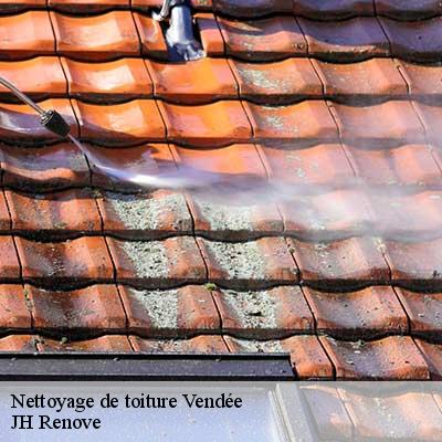 Nettoyage de toiture