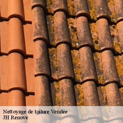 Nettoyage de toiture 85 Vendée VISSE HABITAT 85