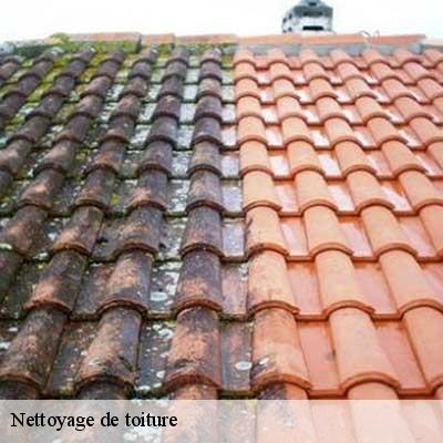 Nettoyage de toiture