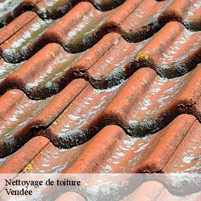 Nettoyage de toiture Vendée