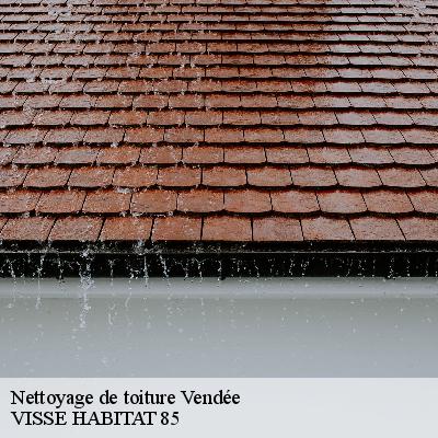 Nettoyage de toiture Vendée 