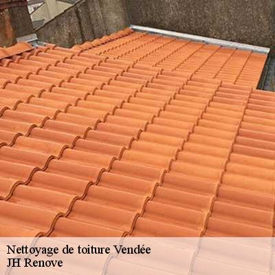 Nettoyage de toiture Vendée