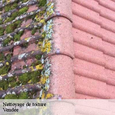 Nettoyage de toiture Vendée
