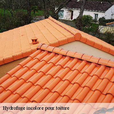 Hydrofuge incolore pour toiture