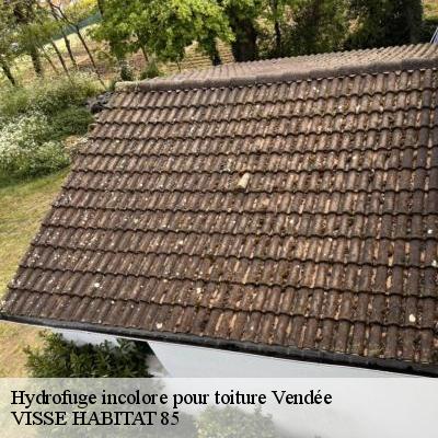 Hydrofuge incolore pour toiture