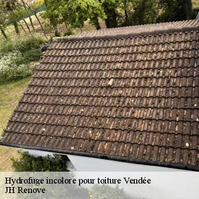 Hydrofuge incolore pour toiture