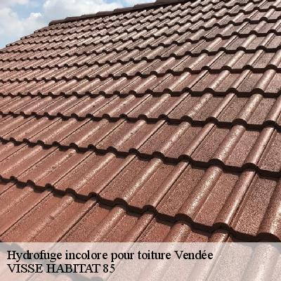 Hydrofuge incolore pour toiture 85 Vendée  VISSE HABITAT 85