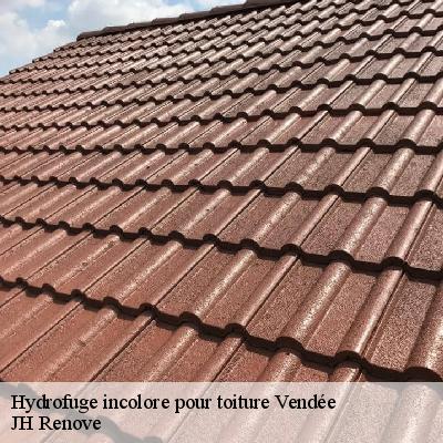 Hydrofuge incolore pour toiture 85 Vendée VISSE HABITAT 85
