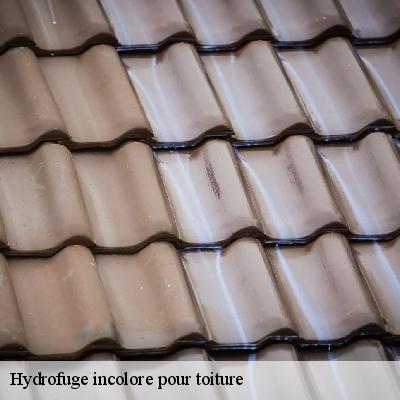 Hydrofuge incolore pour toiture
