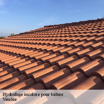 Hydrofuge incolore pour toiture Vendée