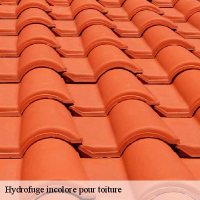Hydrofuge incolore pour toiture Vendée