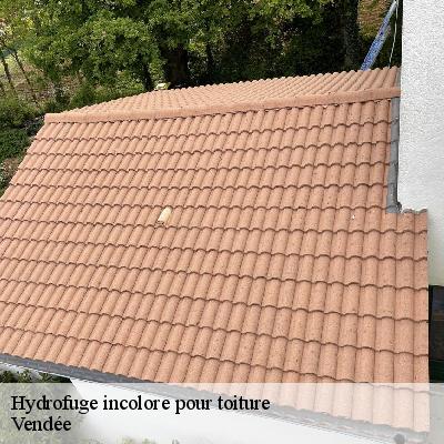 Hydrofuge incolore pour toiture Vendée
